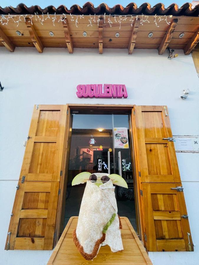Hotel Suculenta Boutique San Cristóbal de Las Casas エクステリア 写真