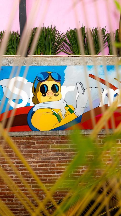 Hotel Suculenta Boutique San Cristóbal de Las Casas エクステリア 写真