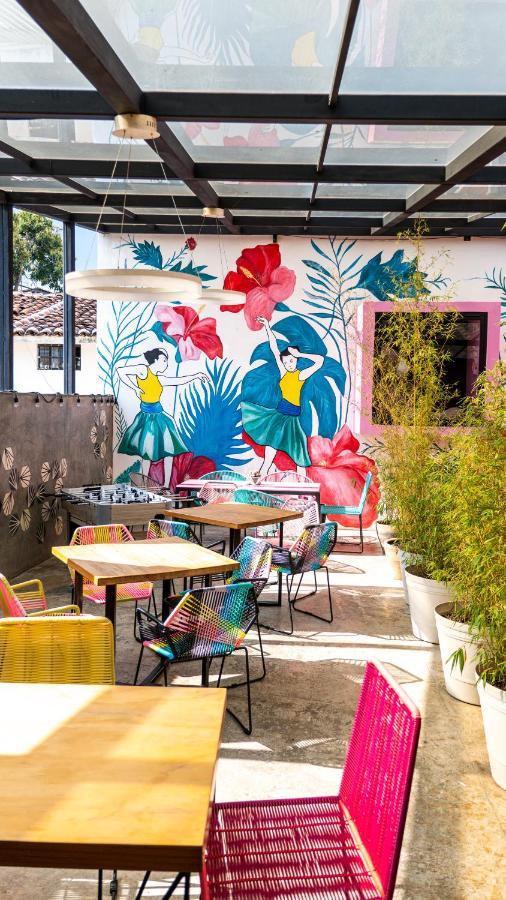 Hotel Suculenta Boutique San Cristóbal de Las Casas エクステリア 写真