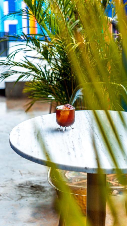 Hotel Suculenta Boutique San Cristóbal de Las Casas エクステリア 写真
