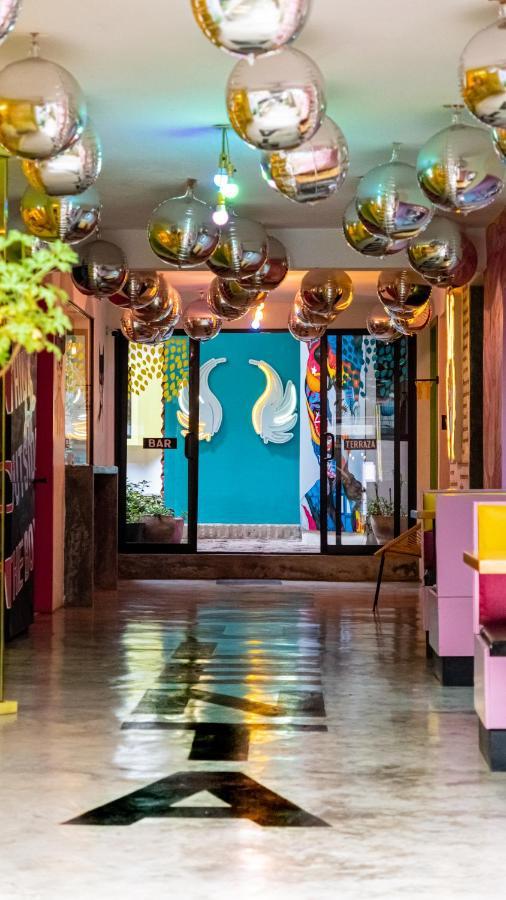 Hotel Suculenta Boutique San Cristóbal de Las Casas エクステリア 写真